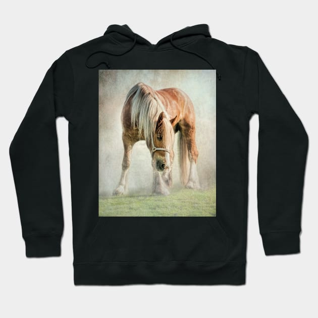 Gypsy in the morning mist Hoodie by Tarrby
